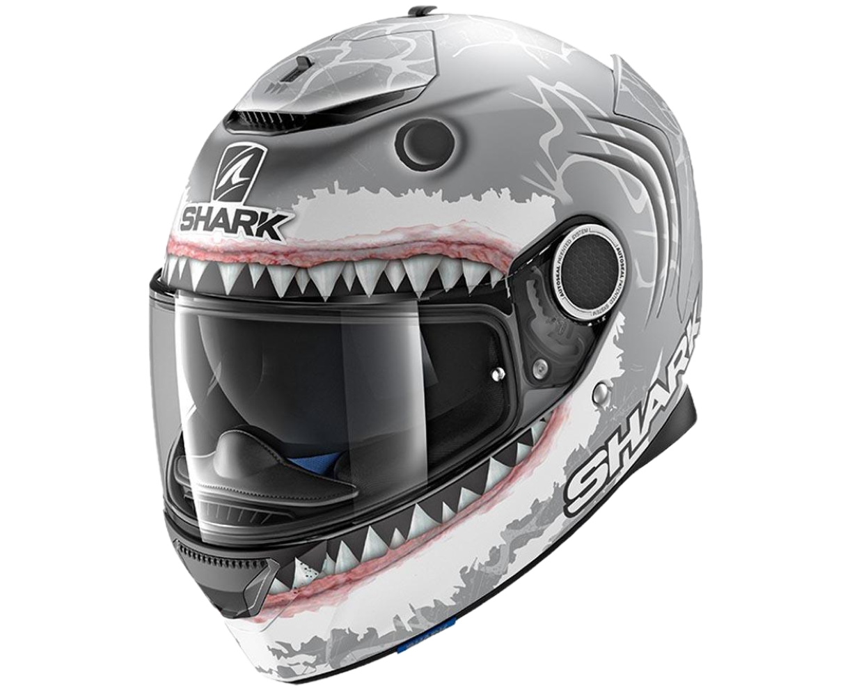 shark2
